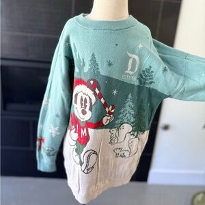 Disneyland Christmas spirit Jersey